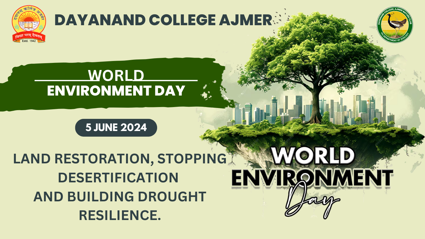 Organization of programs on the occasion of World Environment Day.