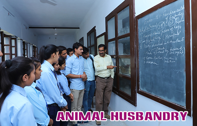 Dayanand College Ajmer | https://www.davajmer.org/laboratory/animal-husbandry-lab