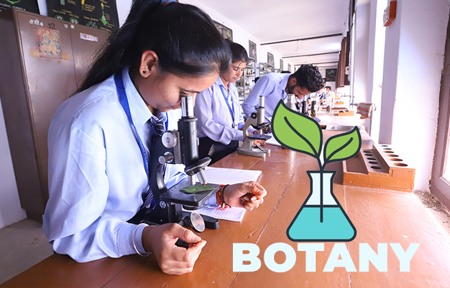 Dayanand College Ajmer | https://www.davajmer.org/laboratory/botany-lab