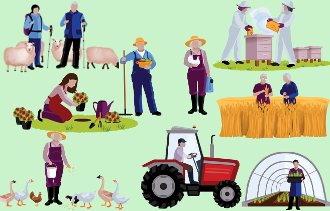 Dayanand College Ajmer | https://www.davajmer.org/course/bachelor-of-science-honours-agriculture-bsc-ag