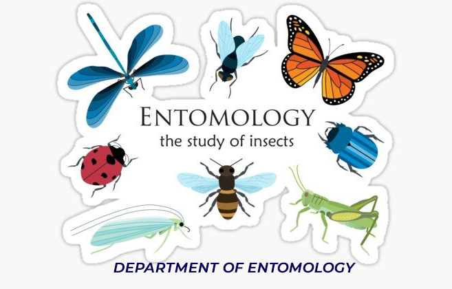 Dayanand College Ajmer | https://www.davajmer.org/department/department-of-entomology