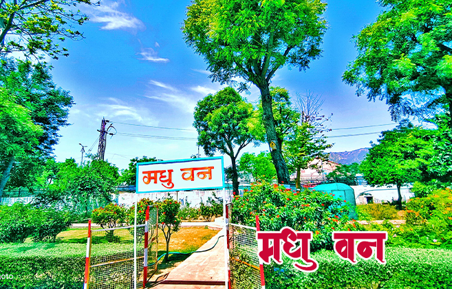 Dayanand College Ajmer | https://www.davajmer.org/infrastructure/madhuvan