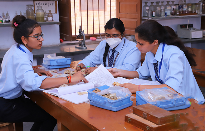 Dayanand College Ajmer | https://www.davajmer.org/laboratory/zoology-lab
